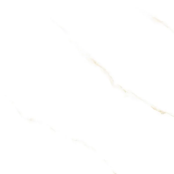 White Avid